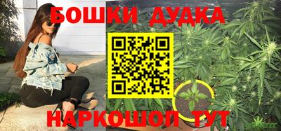 дурь Изобильный